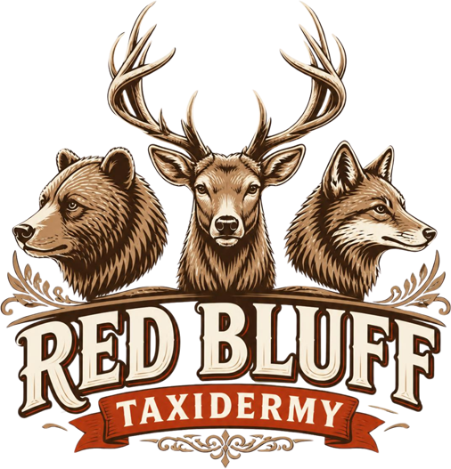 Red Bluff Taxidermy